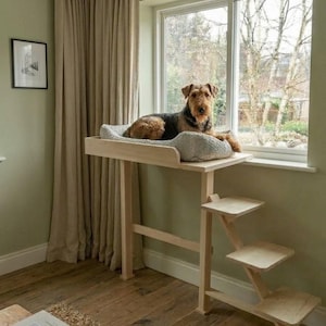 May include: A wooden pet bed with a built-in staircase. The bed has a grey cushion and is elevated, with a dog resting on it. The staircase has three steps. The room has a window, curtains, and a framed picture.