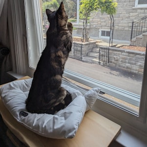 Cat Window Perch Wooden Cat Furniture Windowsill Natural Floating Shelves