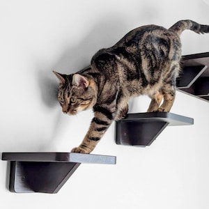 May include: A brown tabby cat walks on a set of dark brown wall-mounted cat shelves. The shelves are angled and have a modern design.