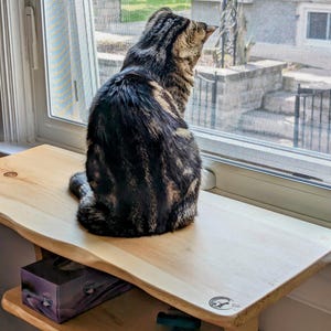 Cat Window Perch Wooden Cat Furniture Windowsill Natural Floating Shelves