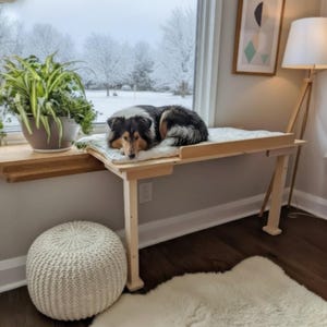 May include: A wooden dog bed with a white cushion is positioned in front of a window. A tricolour dog is lying on the bed, looking towards the viewer. A potted plant sits on the windowsill. A white pouf and a rug are in the foreground.