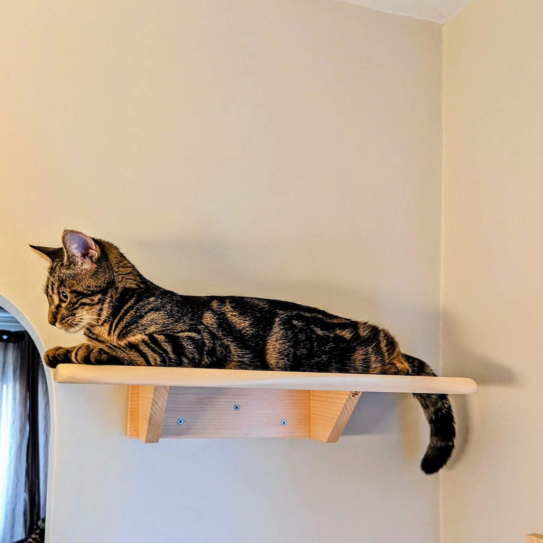 Cat Wall Bed Cat Furniture Made of Natural Wood. Cute Cat Bed Etsy