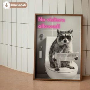 Wall decoration mural bathroom decoration guest toilet poster digital download gift raccoon toilet guest toilet picture photo print toilet
