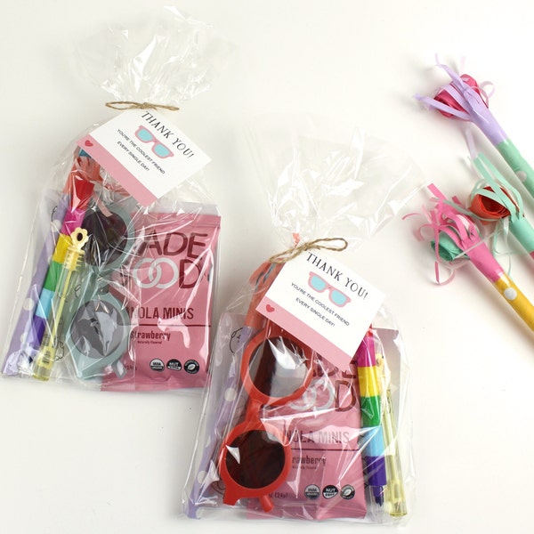 Summer Theme Kids Party Favor | Kids Beach Party Handout | Summer Ice Cream Birthday Goodie Bags | Summer Luau Pre-assembled Favor Bag