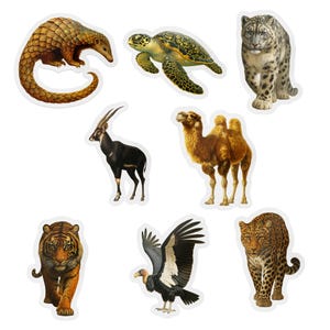 Aufkleber für gefährdete Tiere, Set mit acht (8) 3-Zoll-Premium-Die-cut UV laminierte Vinyl-Aufkleber, Pangolin, Leopard, Tiger, Kamel, Kondor, Schildkröte