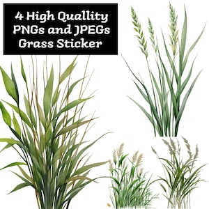 Puede incluir: Cuatro ilustraciones de acuarela de diferentes tipos de hierba verde. La hierba se representa en un estilo realista con diferentes tonos de verde y marrón. El texto "4 High Quality PNGs and JPEGs Grass Sticker" se muestra en un rectángulo negro en la parte superior de la imagen.