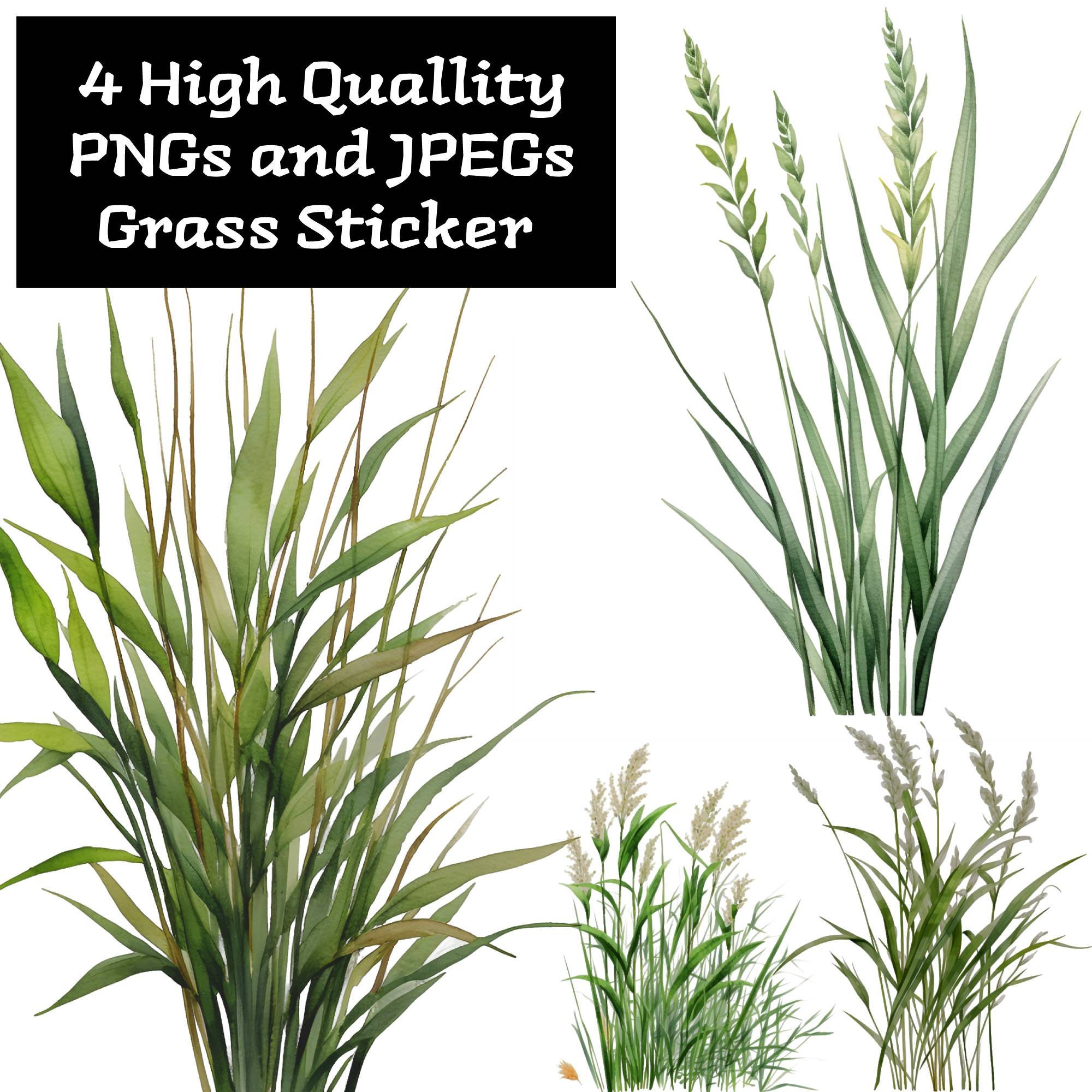 Watercolor Grass Sticker Pack, Clip Art PNG
