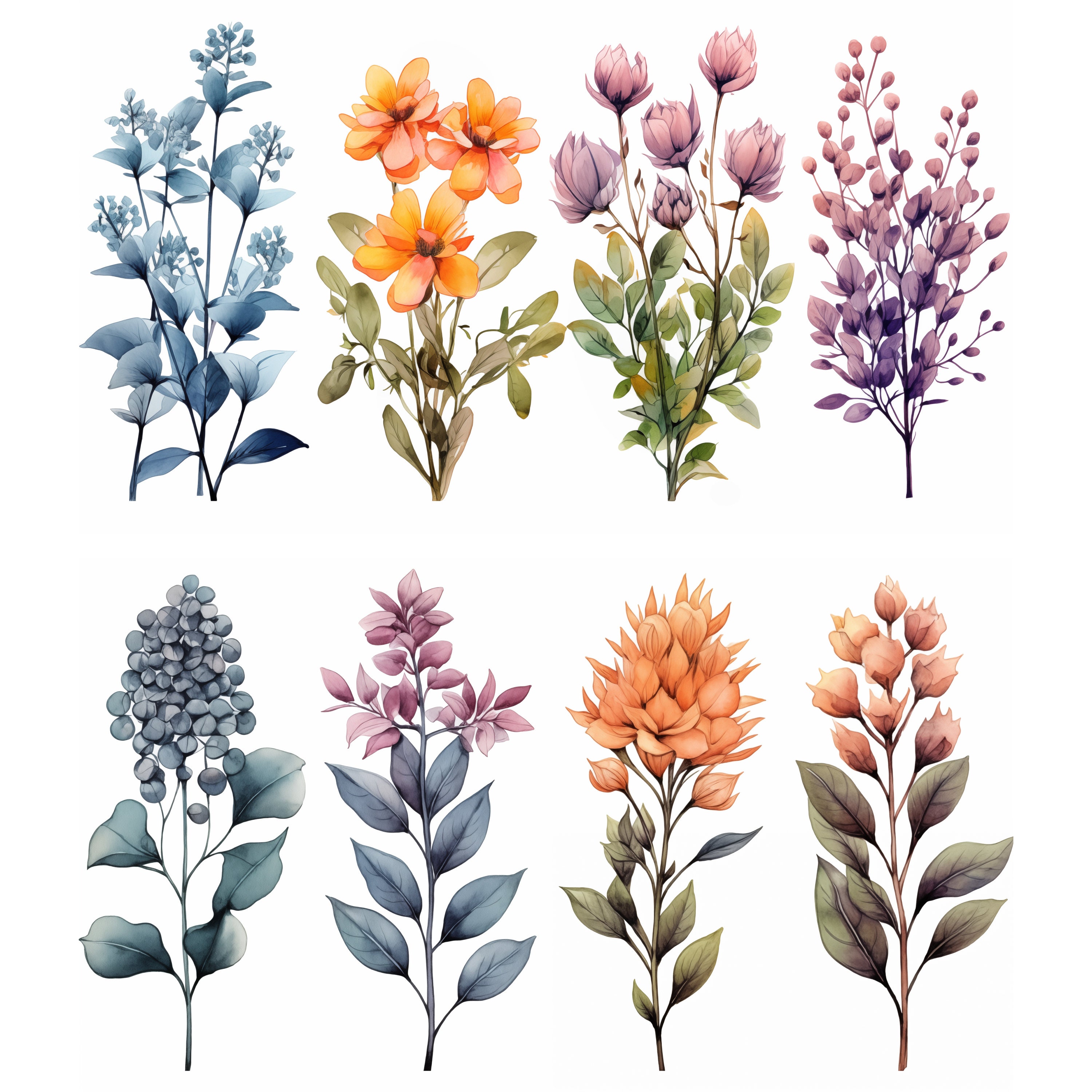 watercolor-floral-clipart-meadow-flowers-jpeg-summer-fall-flowers