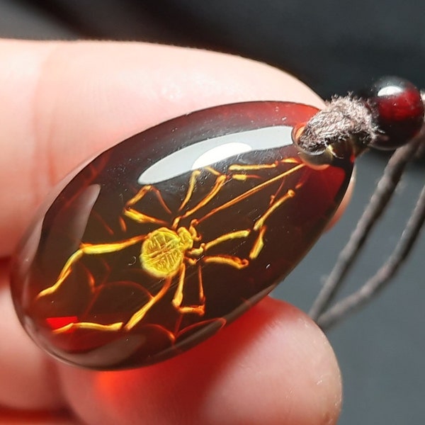 Amber pendant Spider