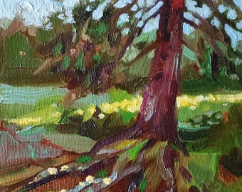 Old tree Original oil painting 6x8'' forest landscape Summer landscape tree oil painting Classic plein air impressionist oil painting