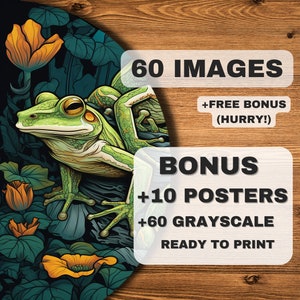 60 Frogs, Toads, Salamanders, Newts in the world of Amphibians Coloring Pages PLUS 10 Tile Style Posters / Ultra HD images / Download now!