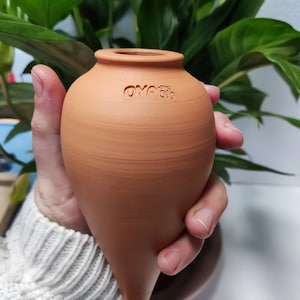 Peut inclure: Un dispositif d'arrosage pour plantes de couleur terre cuite, avec un corps bulbeux et une extrémité pointue. Le mot "OYASIS" est estampé sur le côté. L'appareil est tenu devant un fond de feuilles vertes.
