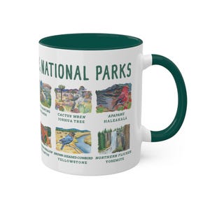 May include: White ceramic mug with a green rim and handle. The mug features a design of nine different birds and their corresponding national parks, including Joshua Tree, Haleakala, Yellowstone, and Yosemite. The text "NATIONAL PARKS" is printed in green at the top of the mug.