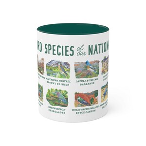 May include: White ceramic mug with a green rim. The mug features a graphic of different bird species from various national parks in the United States. The text "Bird Species of our Nation" is printed on the mug.