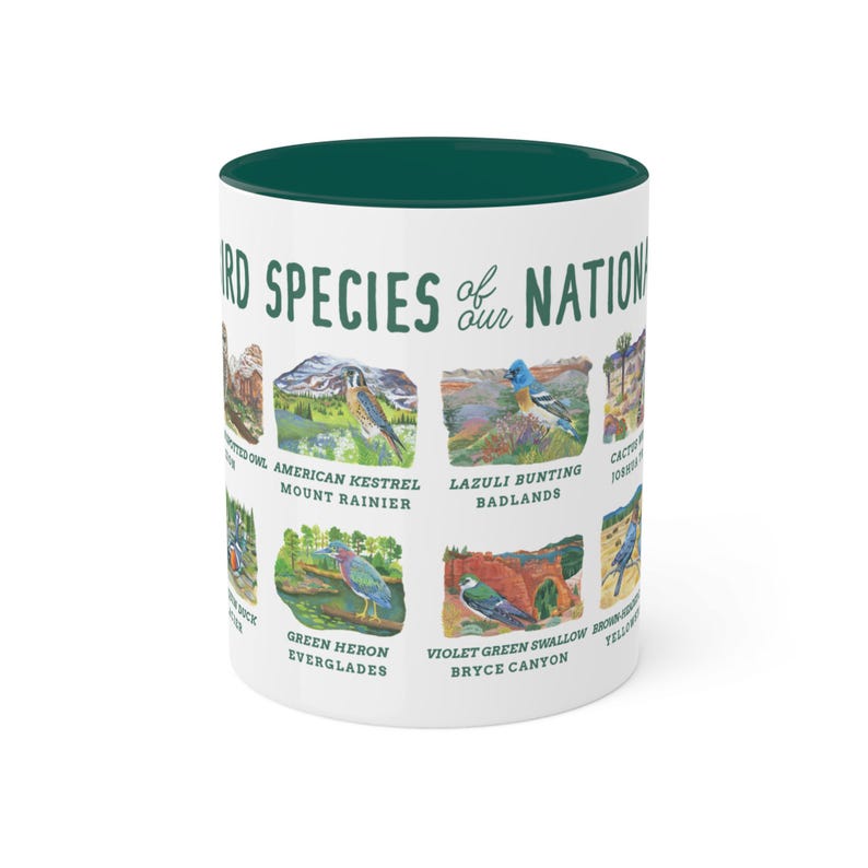 May include: White ceramic mug with a green rim. The mug features a graphic of different bird species from various national parks in the United States. The text "Bird Species of our Nation" is printed on the mug.