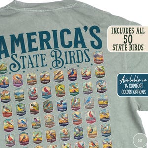 50 State Birds Shirt Birding Shirt Birding Apparel Colorful Birds Tee Bird Lover Shirt Gift for Birder Shirt Birding Birdwatching Present
