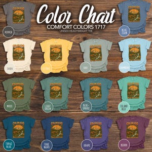 Colorado Rocky Mountains Graphic T-Shirt Retro Comfort Colors Tee Cute Bear Shirt Colorado Mountain Trip CO Vacation Colorado Traveler Shirt