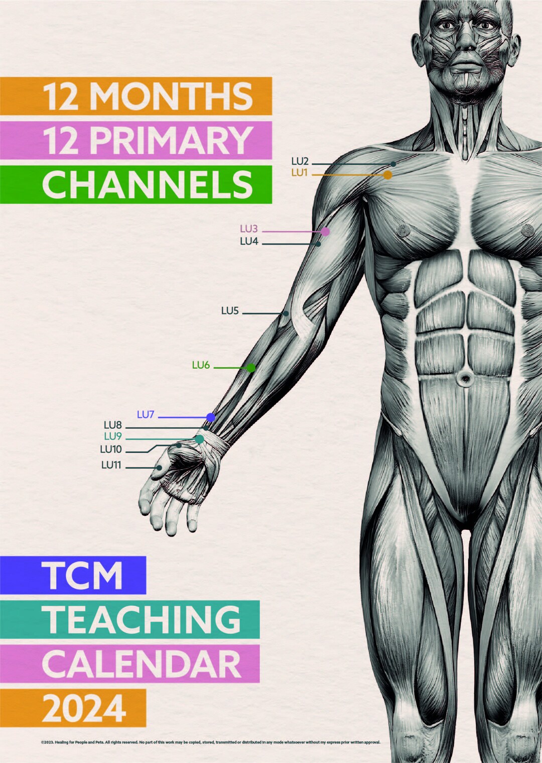 2025 TCM Calendar and Teaching Tool Free UK & US Delivery Etsy