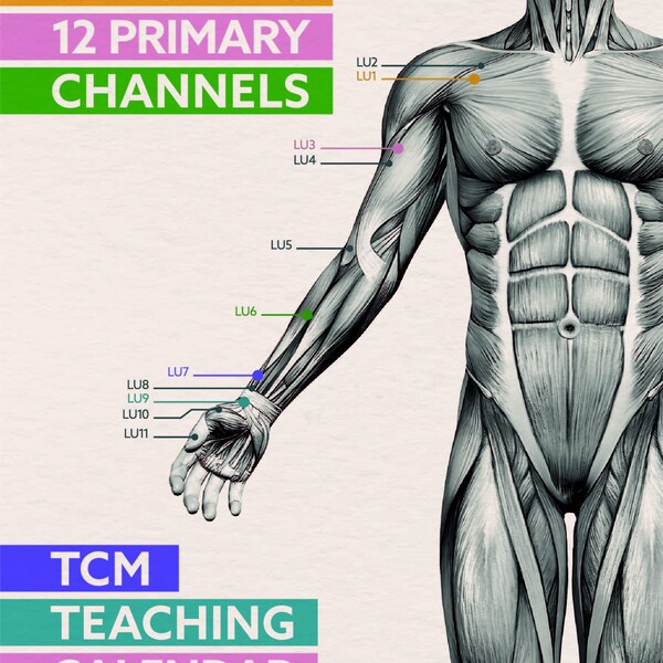 2024 TCM calendar and teaching tool - free UK & US delivery