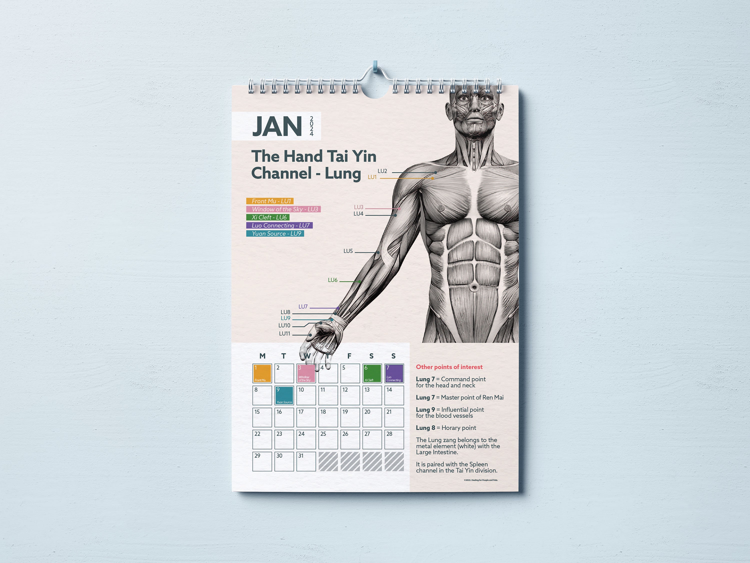 2024 TCM Calendar and Teaching Tool Free UK Delivery Etsy UK