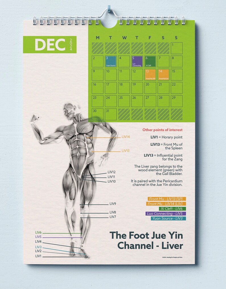 2024 TCM Calendar and Teaching Tool Free UK Delivery Etsy UK
