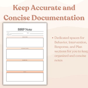 Sip Note Examples BIRP Note | Therapist Note Template | Therapy Note | Note Template for ...