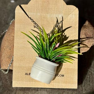Collar con plantas en miniatura: colgante bohemio para amantes de las plantas de interior - Hecho en Canadá