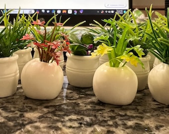 Decoratieve plant springspinbehuizing