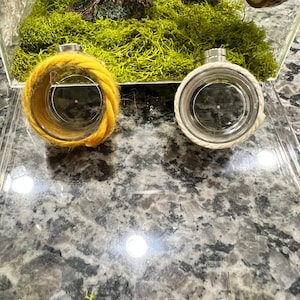 Jumping Spider Enclosure Hides
