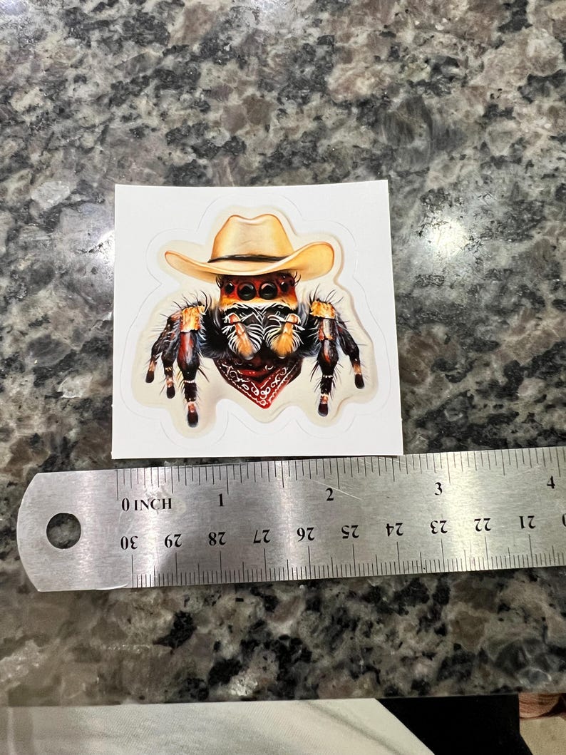 Cowboyspin kiss-cut stickers | Leuk decor, laptopstickers, unieke cadeaus, westers thema, vinylstickers afbeelding 4