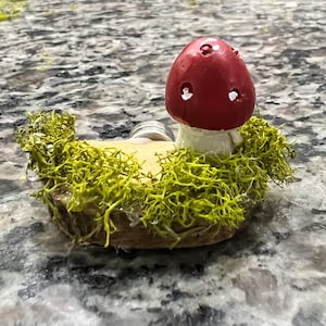 Mushroom Landing: Jumping Spider Enclosure Decor