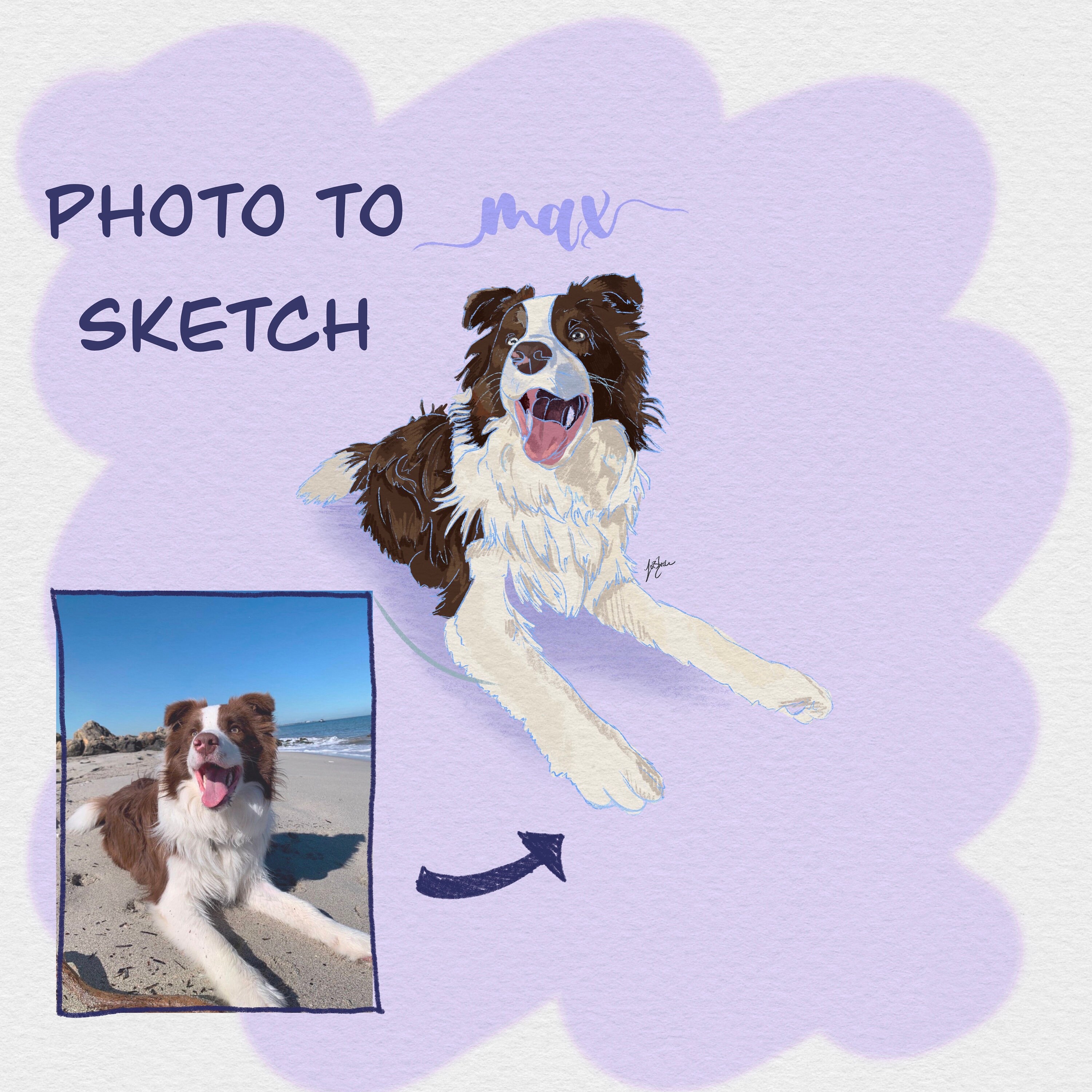 Custom Dog Portrait, Dog Sketch From Photo, Hand Drawn Dog Drawing ...