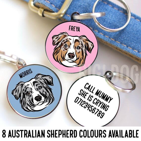 Targhetta Attenzione Al Cane In Lingua Inglese Con Pastore Australiano Blu - 155x110mm, PVC 3mm, Viti Incluse, Prodotta In Francia
