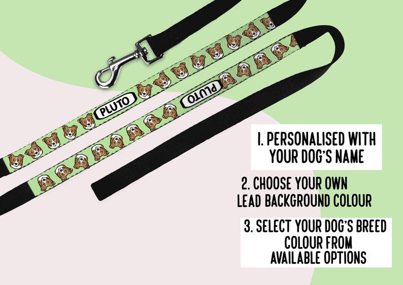 Personalized Border Collie Dog Leash: Custom Breed Illustration, Dog Owner Gift image 2