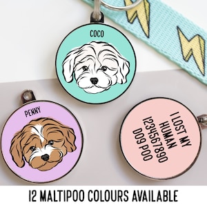 Può includere: Tre medagliette rotonde in metallo per animali domestici. Una presenta l'illustrazione di un cane bianco su sfondo color menta con il nome COCO. Un'altra mostra un cane marrone e bianco su sfondo lavanda con il nome PENNY. La terza riporta il testo I LOST MY HUMAN 1234567890 D09 P00.