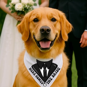 Dog Wedding Design Bandana| Wedding Day Dog Accessory| Bridesmaid Dog Outfit| Custom Pet Bandana for Bride & Groom| Dog of Honor Bandana