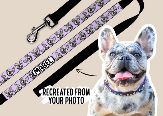 Dog face lead hotsell