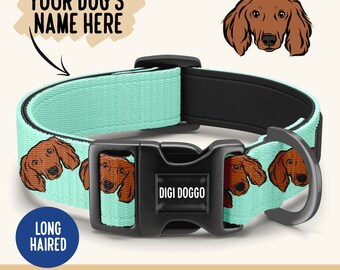 Long Haired Dachshund Collar: Custom Dog Breed Collar
