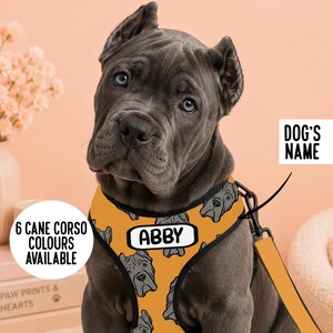 Może przedstawiać: Szary pies rasy Cane Corso w pomarańczowych szelkach z powtarzającym się wzorem szarych psich pyszczków oraz białą prostokątną naszywką z imieniem ABBY napisanym czarną czcionką. Szelki posiadają czarny zaczep na smycz oraz pasującą pomarańczową smycz.