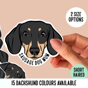 Adesivi personalizzati bassotto / Adesivi personalizzati proprietario cane salsiccia / Adesivo per laptop faccia bassotto / Regalo amante bassotto / Adesivo nome cane
