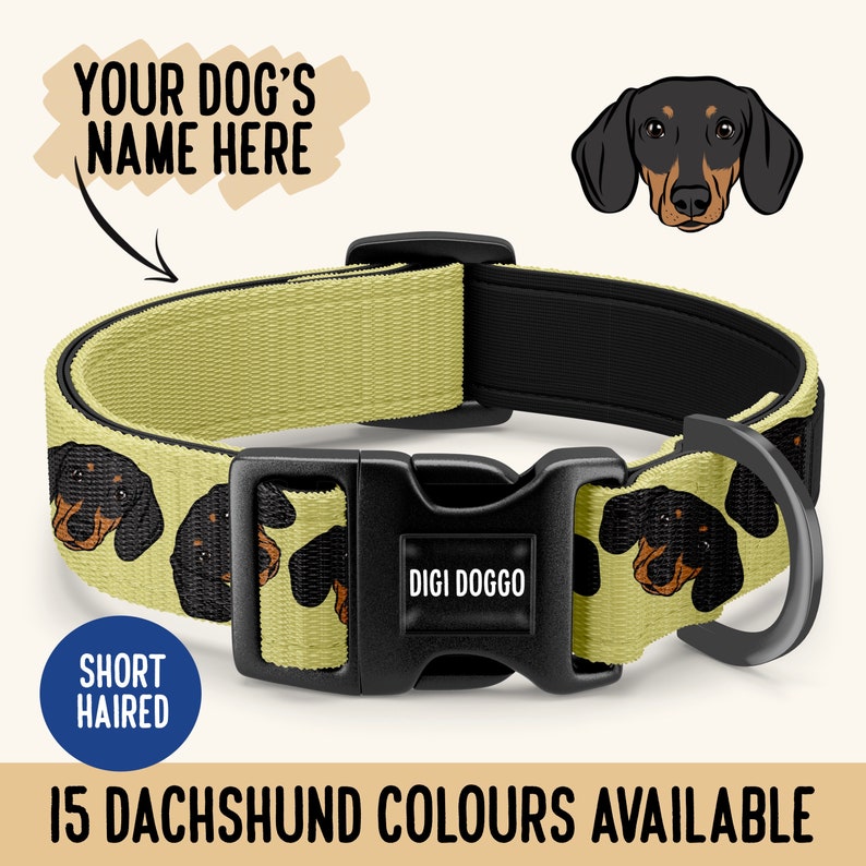 Puede incluir: Un collar de perro de color beige con una hebilla negra y un patr&oacute;n repetido de caras de dachshund. El collar est&aacute; etiquetado como "Digi Doggo" y tiene un anillo en D para sujetar la correa. El texto "Short Haired" est&aacute; en un c&iacute;rculo azul. El texto "15 Colores de Dachshund Disponibles" est&aacute; en la parte inferior de la imagen.