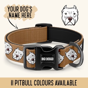 Apbt collars sale