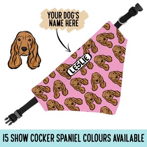 Battito Cardiaco Accelerato Nel Cane: Sintomi, Cause E Rimedi - Foto 13