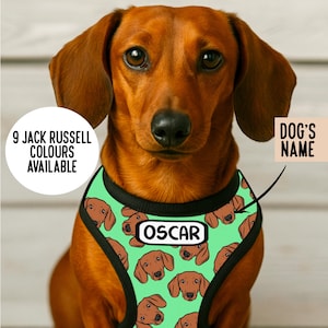 Pettorina personalizzata per bassotto: modello bassotto, nome personalizzato, regolabile, riflettente