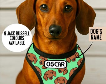 Personalized Dachshund Harness: Sausage Dog Pattern, Custom Name, Adjustable, Reflective