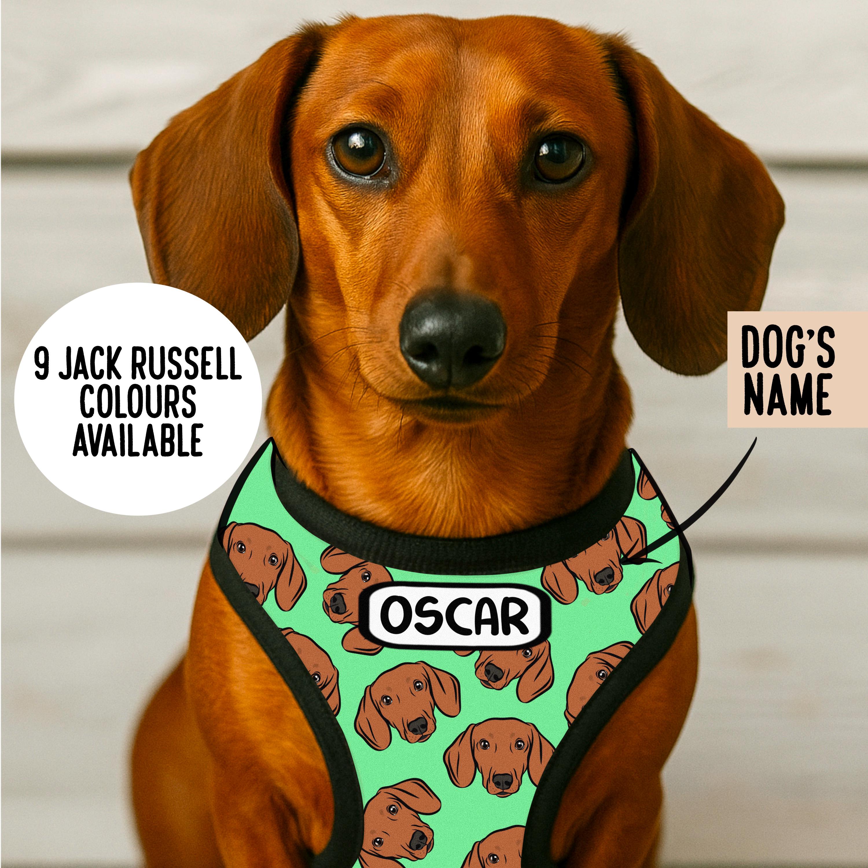 Personalisiertes Dackel Geschirr: Dackel Muster, individueller Name,  Verstellbar, Reflektierend - Etsy sterreich