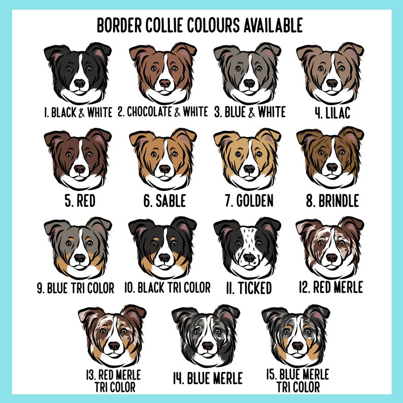 Personalized Border Collie Dog Leash: Custom Breed Illustration, Dog Owner Gift image 4