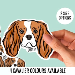 Adesivos Cavalier King Charles Spaniel/adesivos personalizados com corte de rosto de Cavalier/retrato de cachorro para laptop/pacote de adesivos com nome de Cavalier