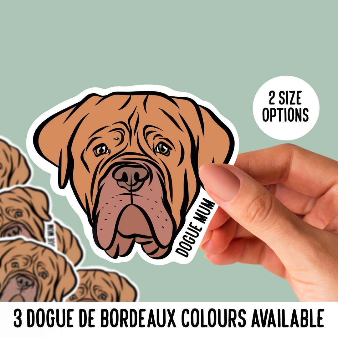 puppy dogue de bordeaux colors mahogany