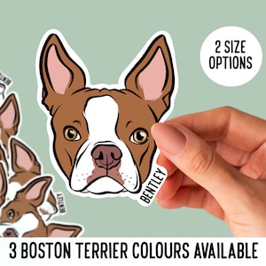 Adesivi Boston Terrier / Adesivi personalizzati per laptop con nome Boston Terrier / Adesivi fustellati personalizzati per il proprietario del cane / Adesivi per la faccia di cane carino